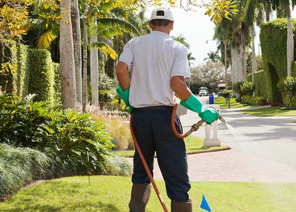 About Freeport NY Pest Control